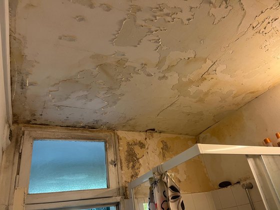 Salle de bains — rénovation