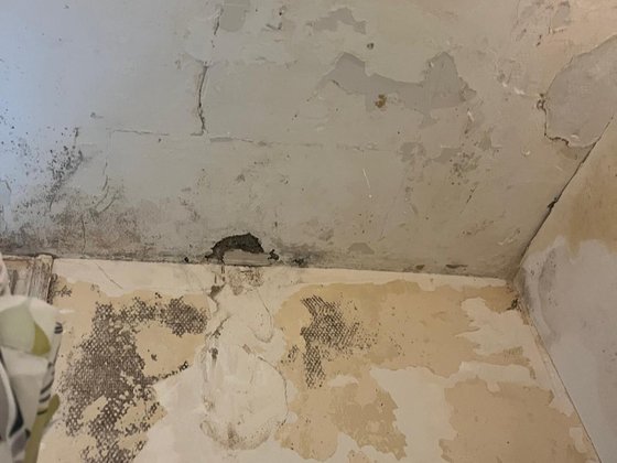 Salle de bains - rénovation